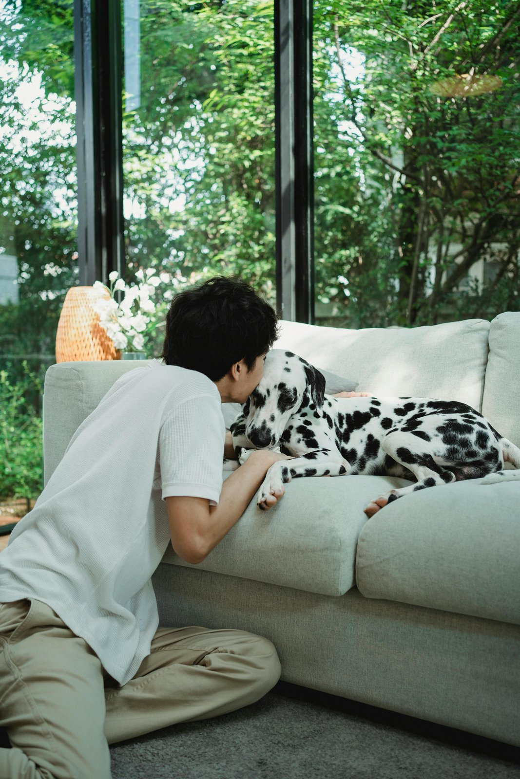Vet Schools Are Sending Students Door to Door for Pet Care