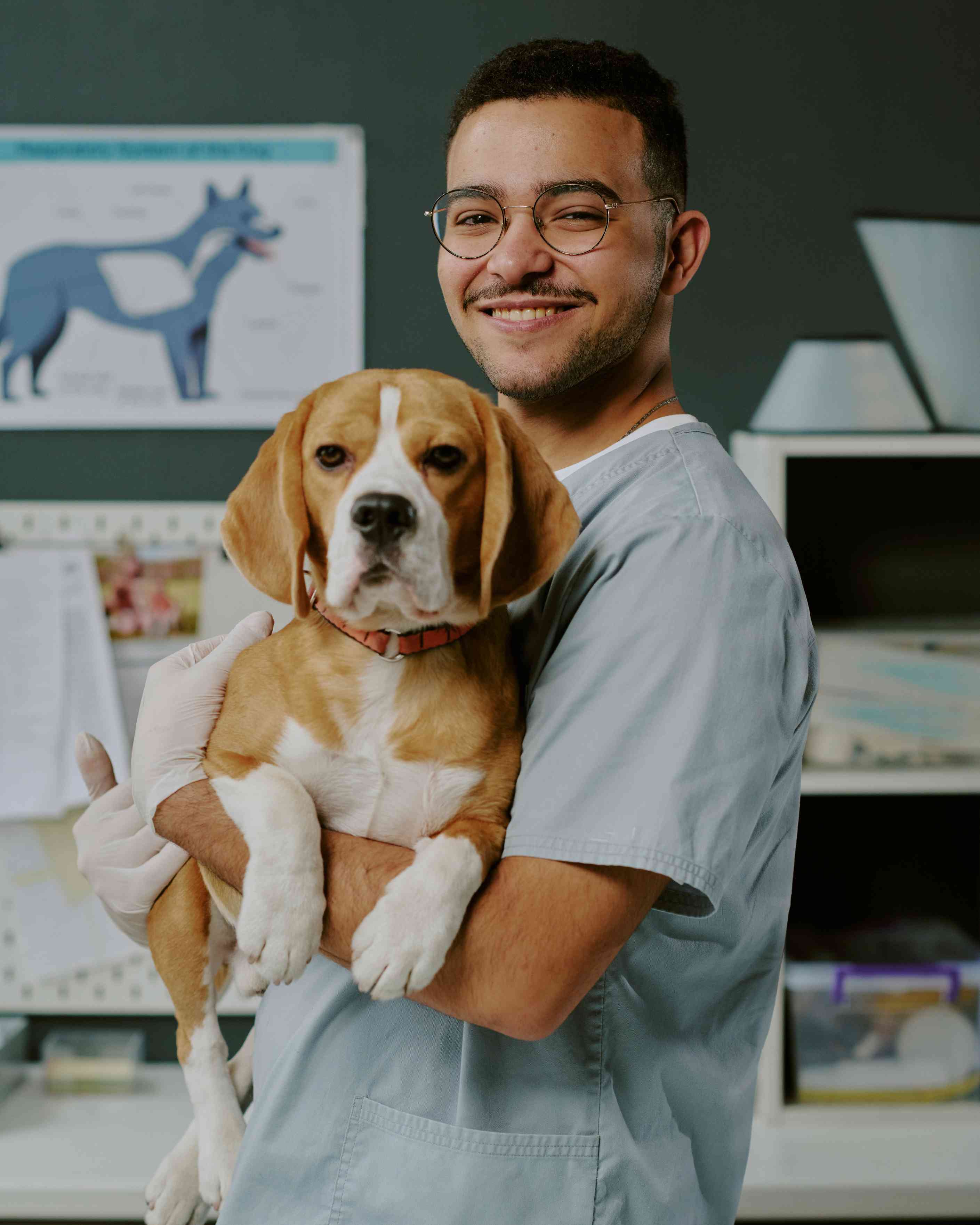 4 Veterinary Workplace Benefits to Better Support Mothers