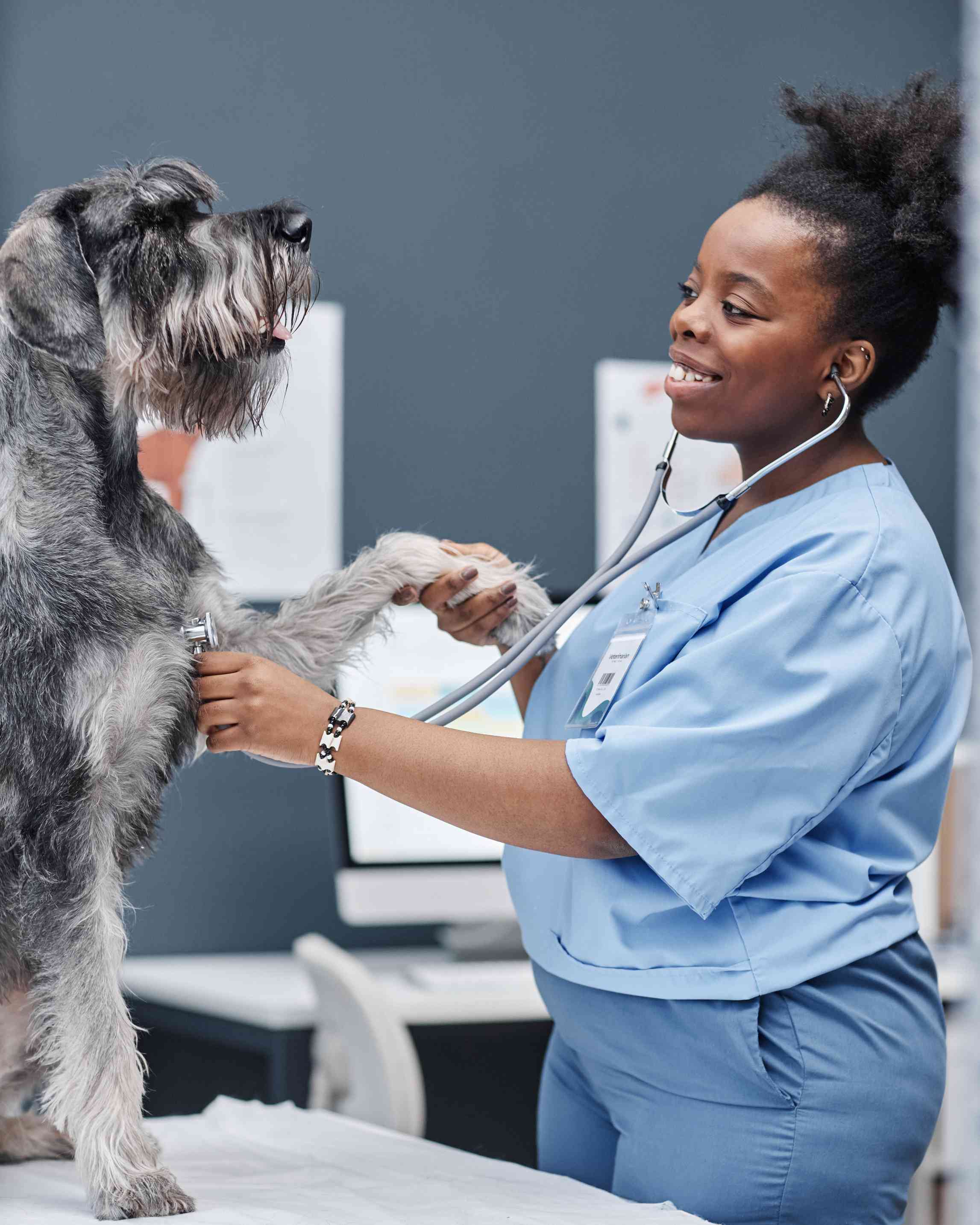 Beyond Appreciation: How Vet Tech Education Builds Stronger Teams