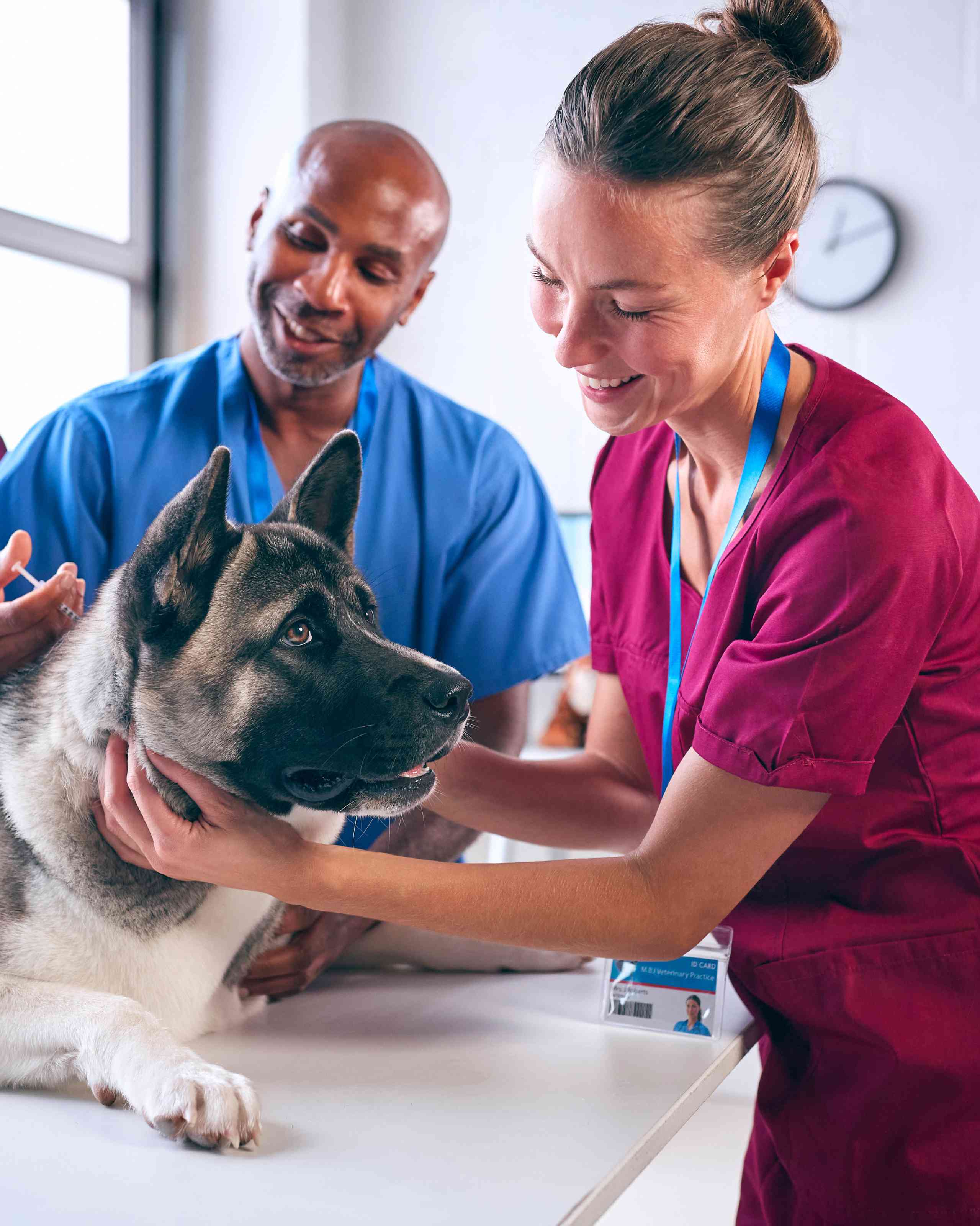 5 Steps to Building a Successful Veterinary Mentoring Relationship