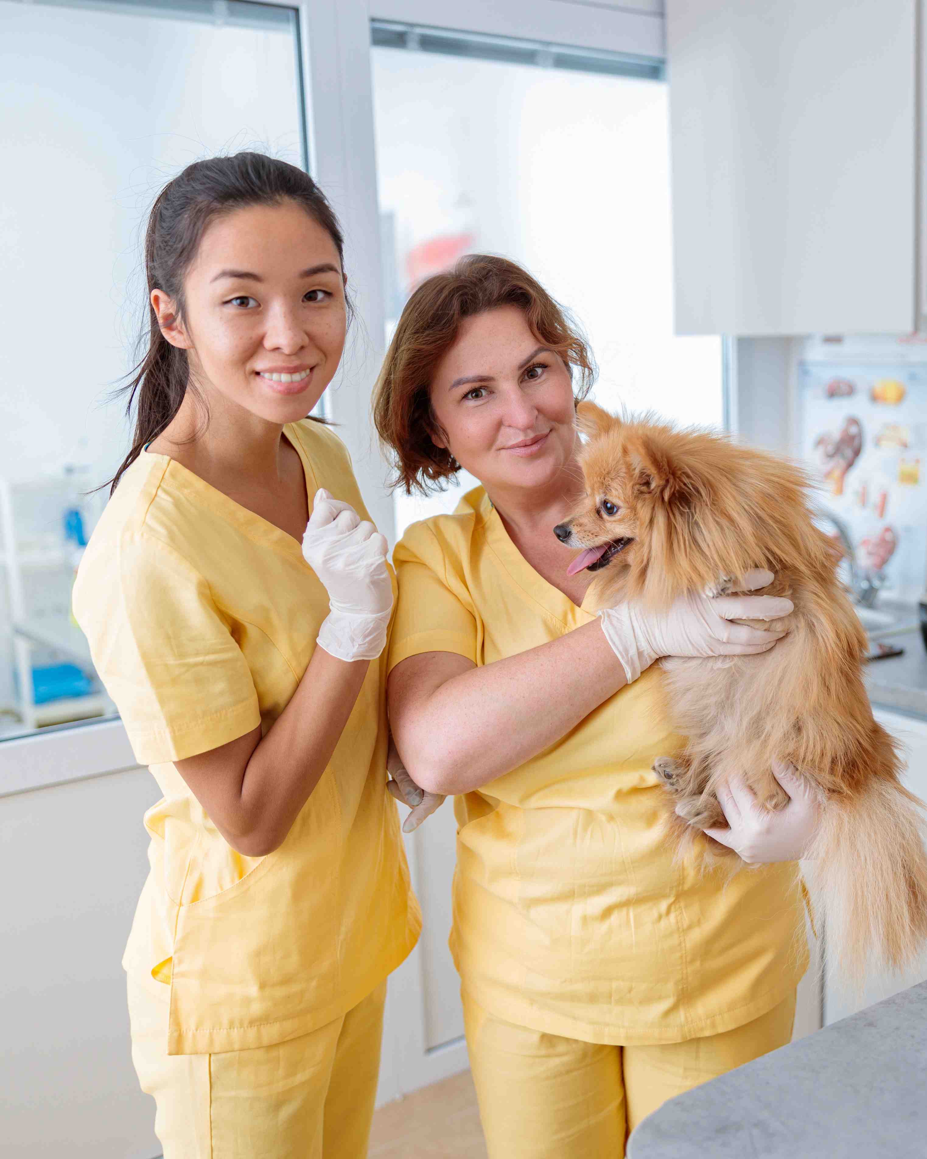 Relief Rover Saves This Independent Practice Owner's Sanity in a Time of Need
