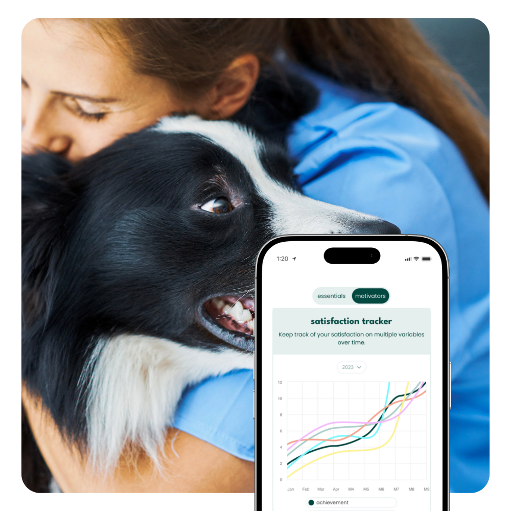 A pulse survey result that tracks satisfaction trends over time, not a one-time snapshot.