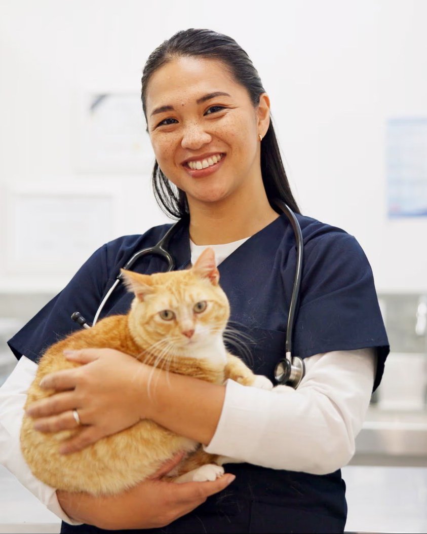 Vet Students Want Real Mentorship More Than Work-Life Balance