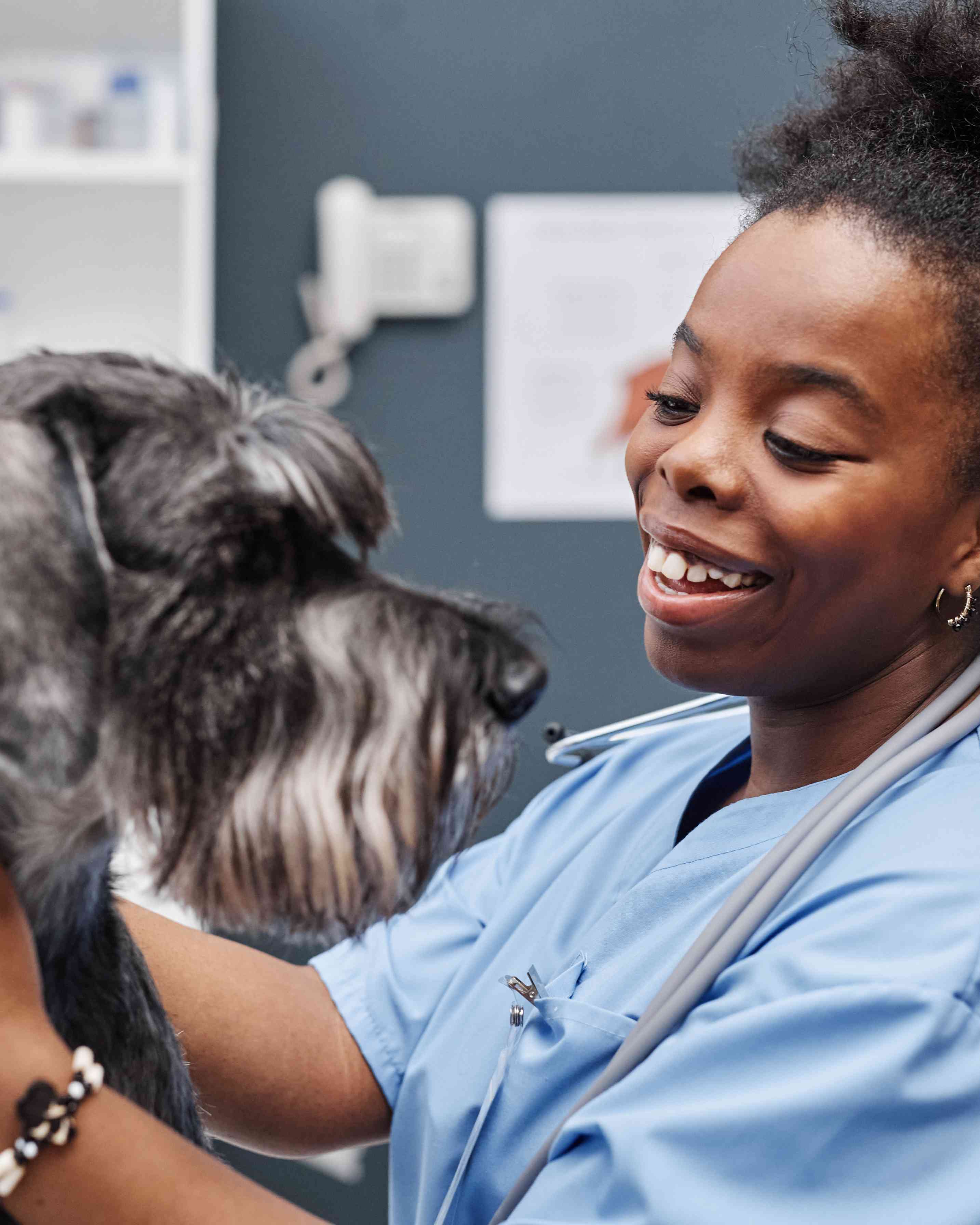 How to Become a Veterinary Technician