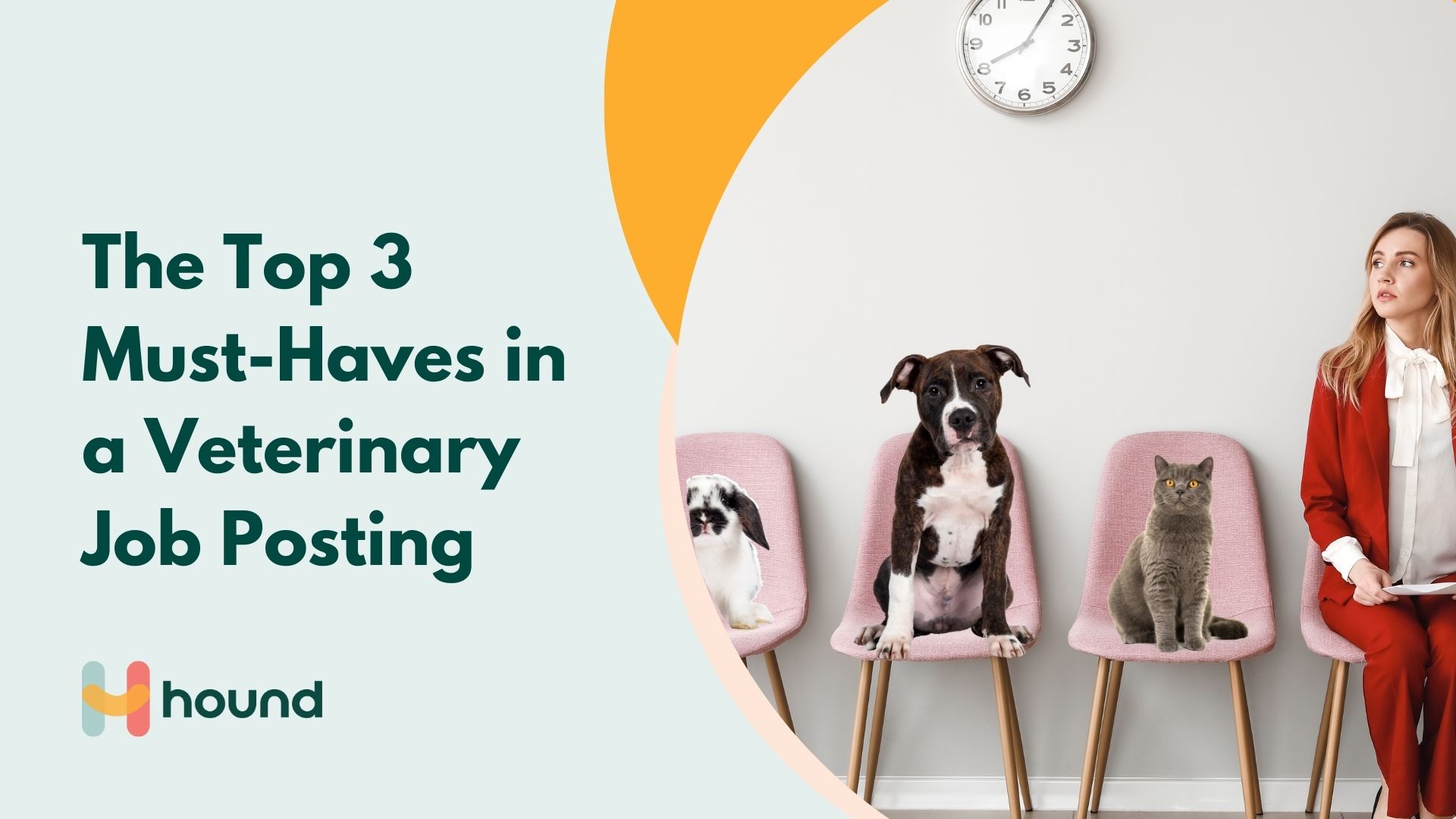 The Top 3 Must-Haves in a Veterinary Job Posting