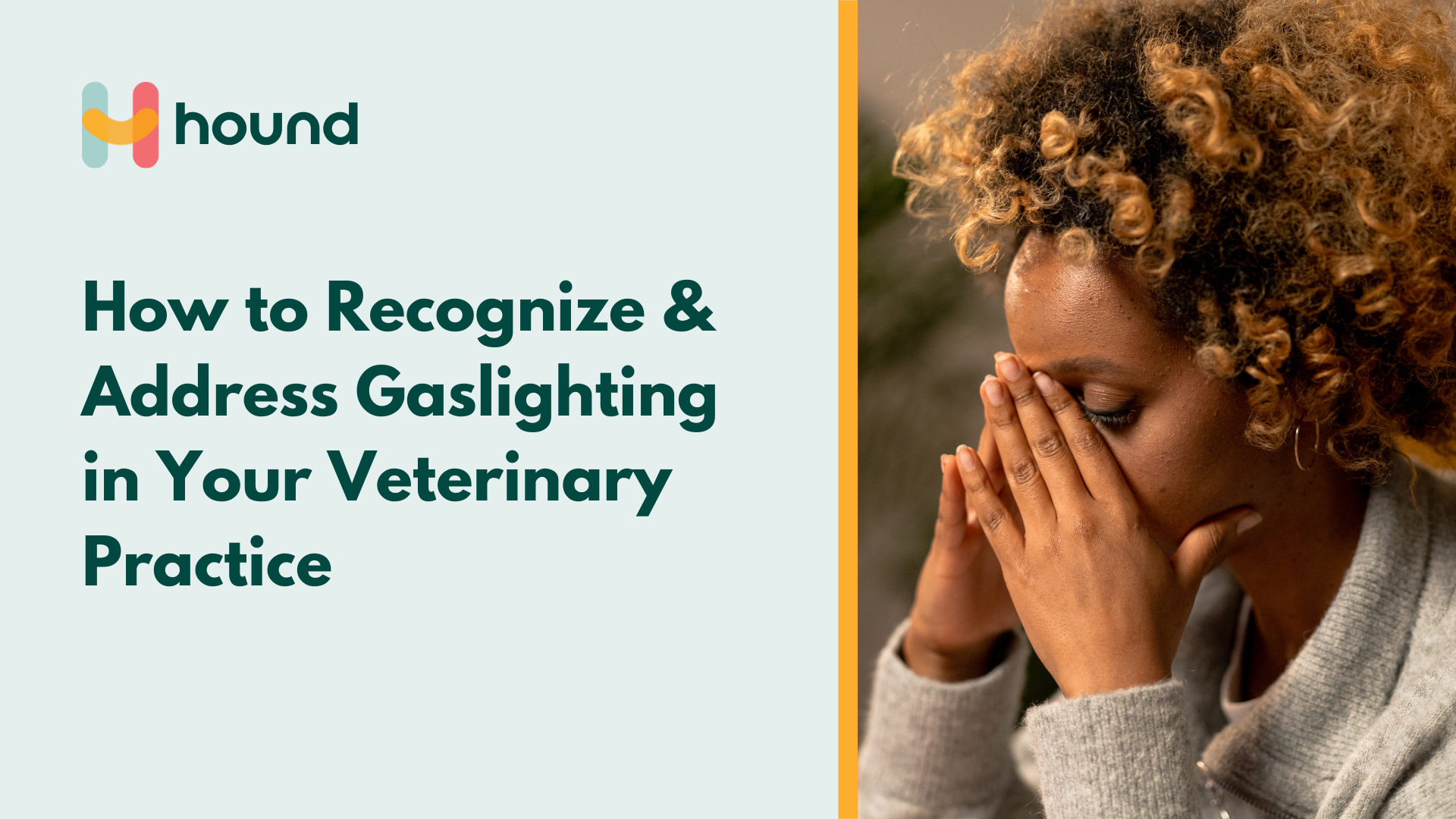 How to Address Gaslighting in Your Veterinary Hospital