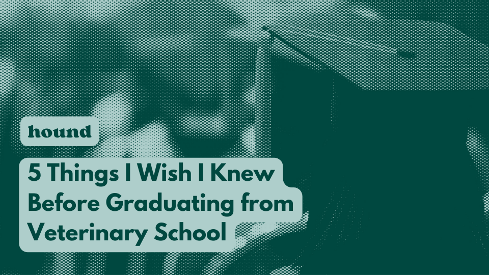 5 Things I Wish I Knew Before Veterinarian Graduation