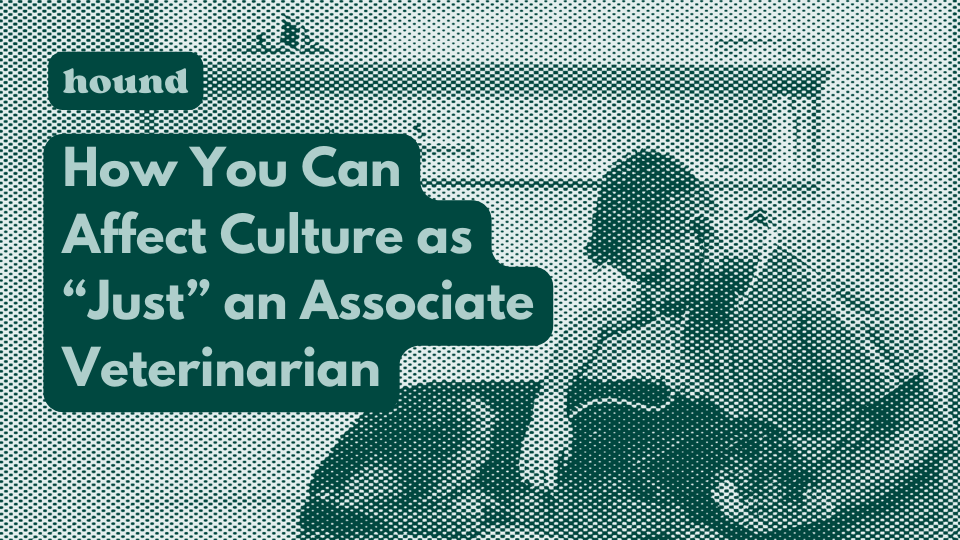 How You Can Affect Culture as “Just” an Associate Veterinarian