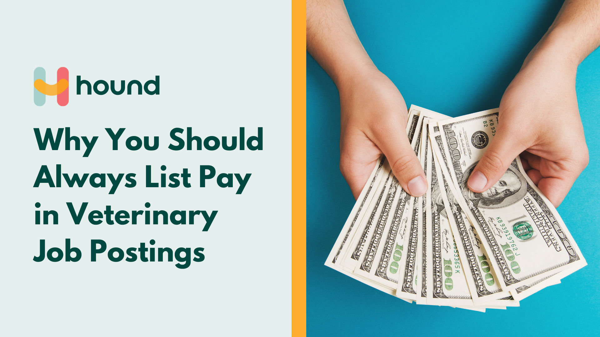 Why You Should Always List Pay in Veterinary Job Postings