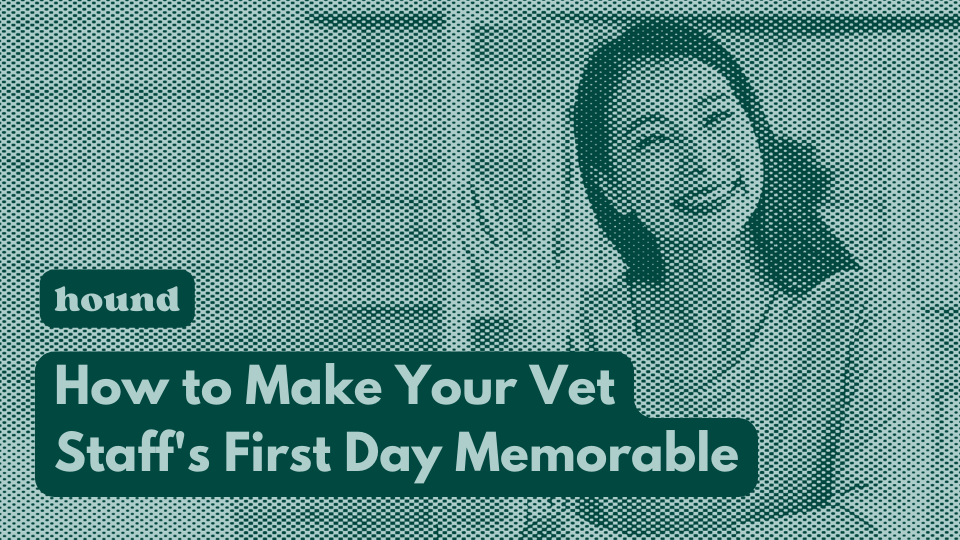 How to Make Your Vet Staff's First Day Memorable