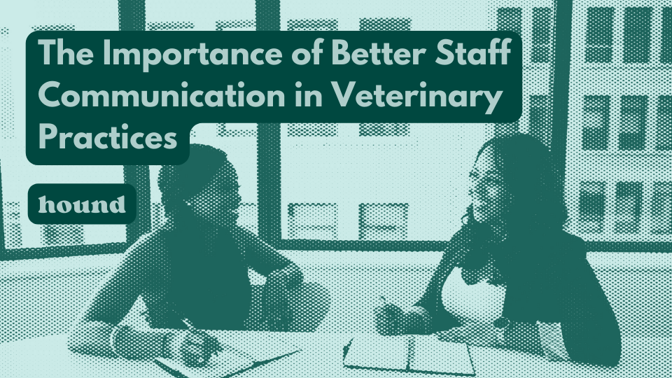 Creating Better Communication in Veterinary Medicine