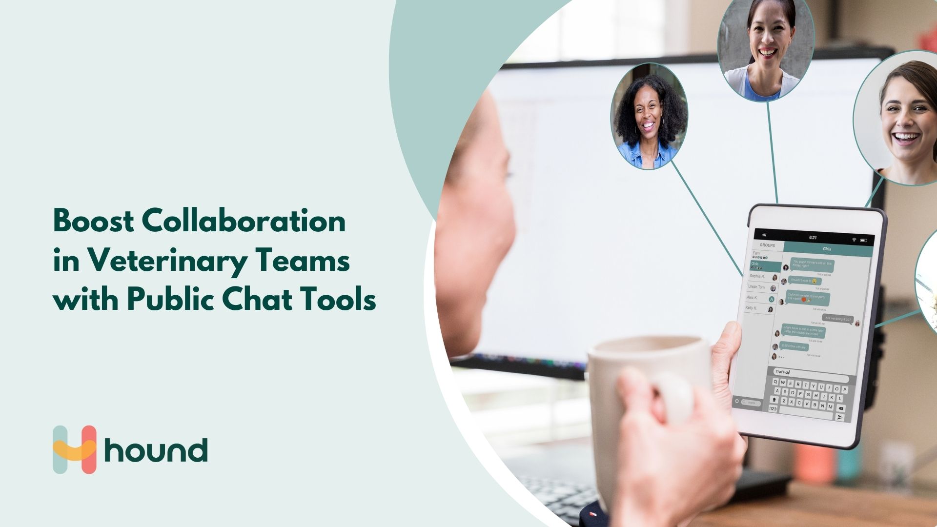 Boosting Collaboration in Veterinary Teams with Chat Tools