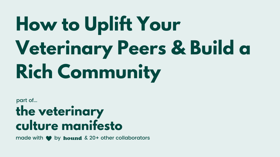 How to Uplift Your Veterinary Peers & Build a Rich Community