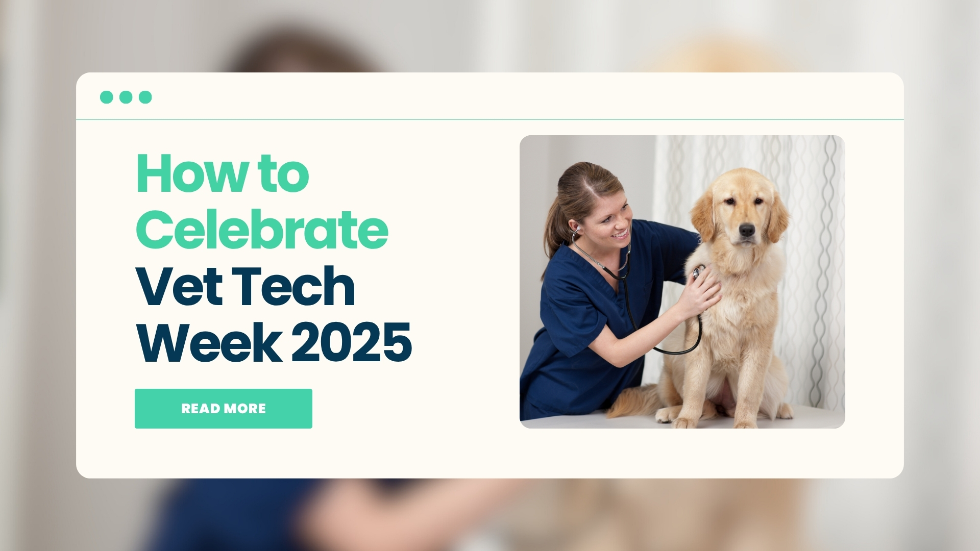 How to Celebrate Vet Tech Week in 2025: Creative Ideas to Appreciate Your Veterinary Technicians