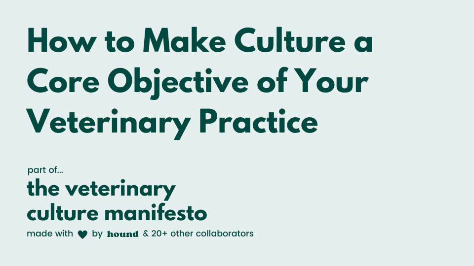 How to Champion Culture as a Core Objective in Vet Med