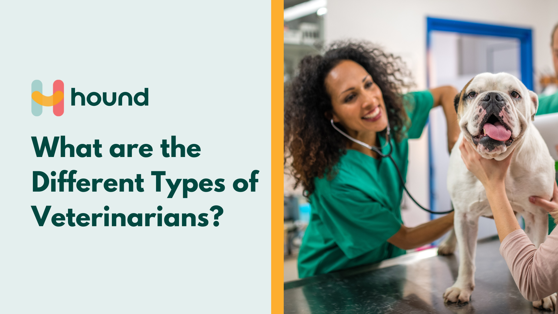 What are the Different Types of Veterinarians?
