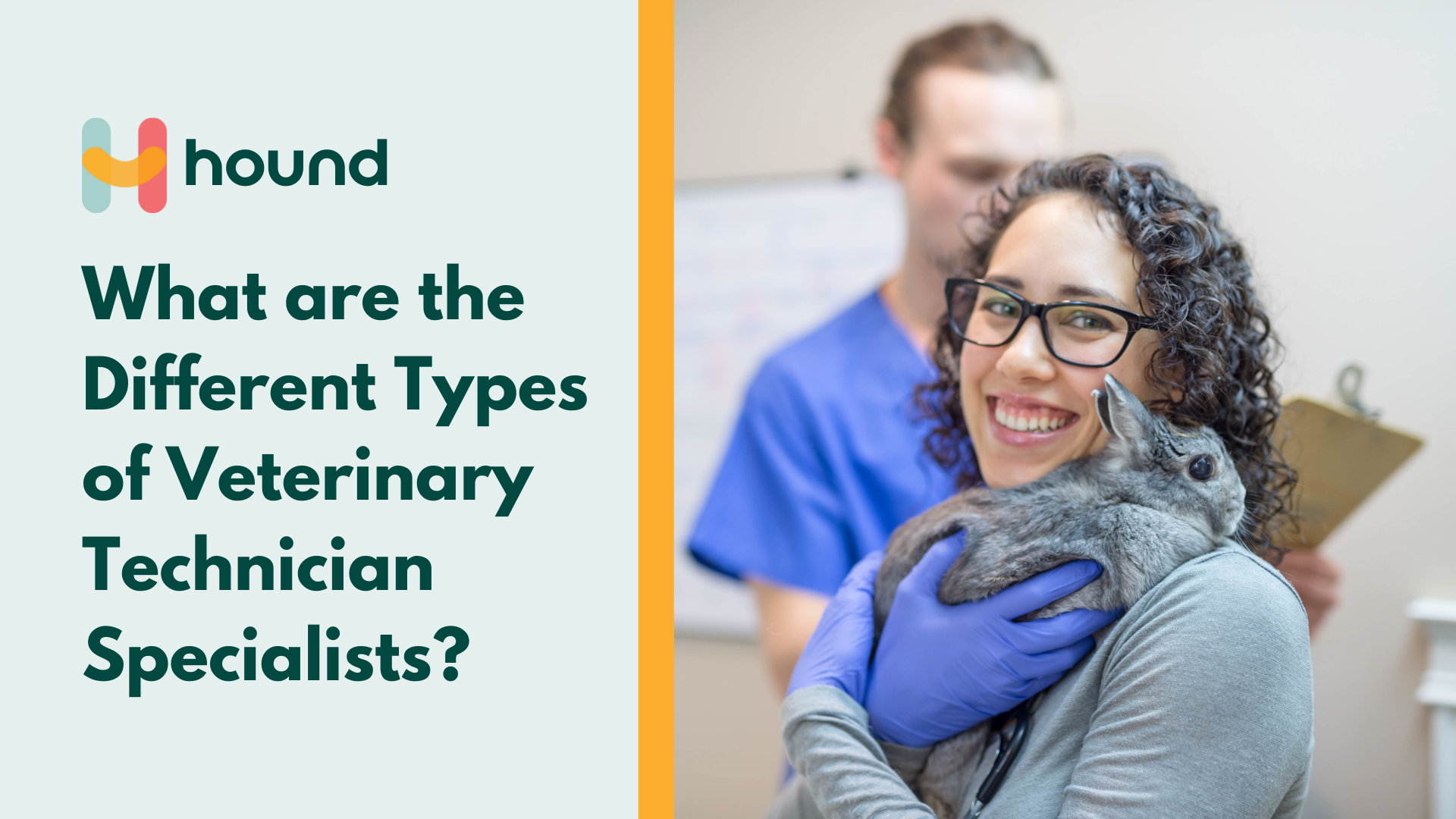 What are the Different Types of Veterinary Technician Specialists?