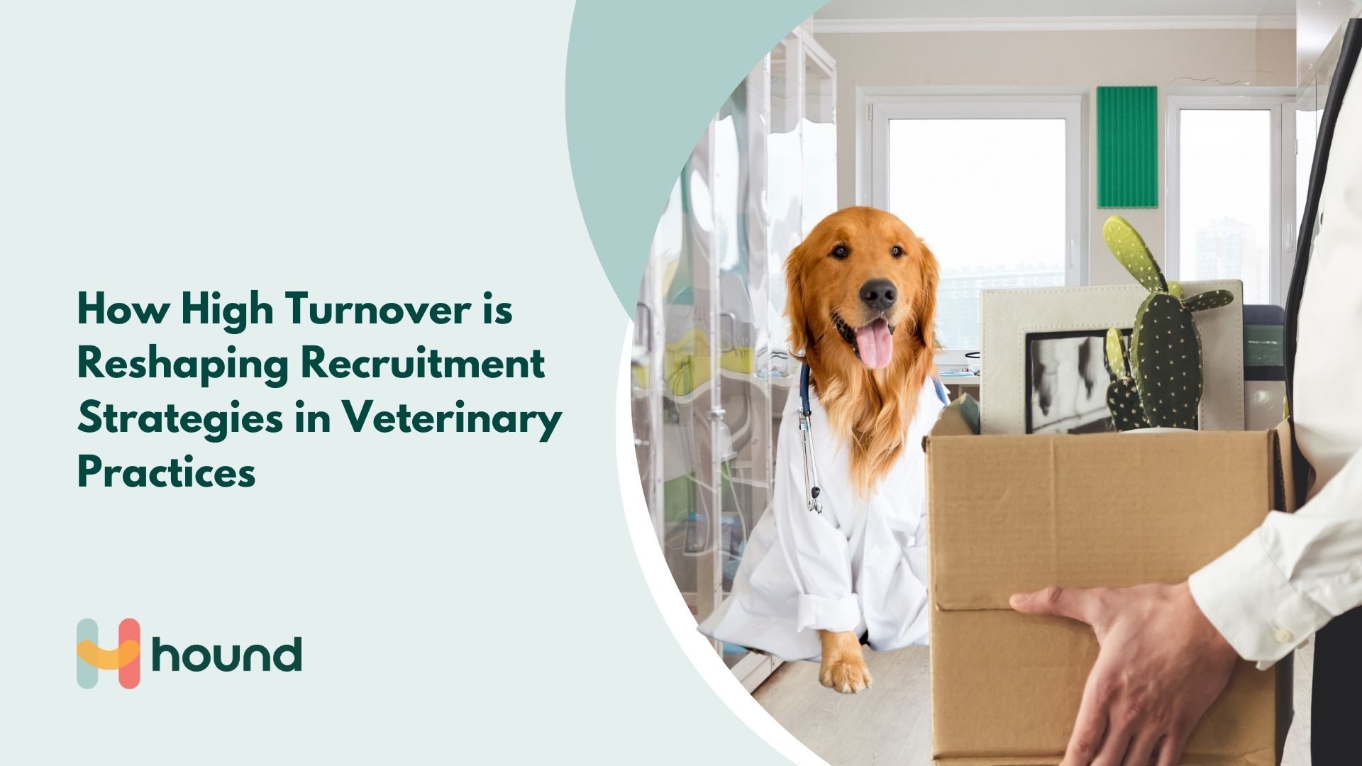 How High Turnover is Reshaping Recruitment Strategies in Veterinary Practices