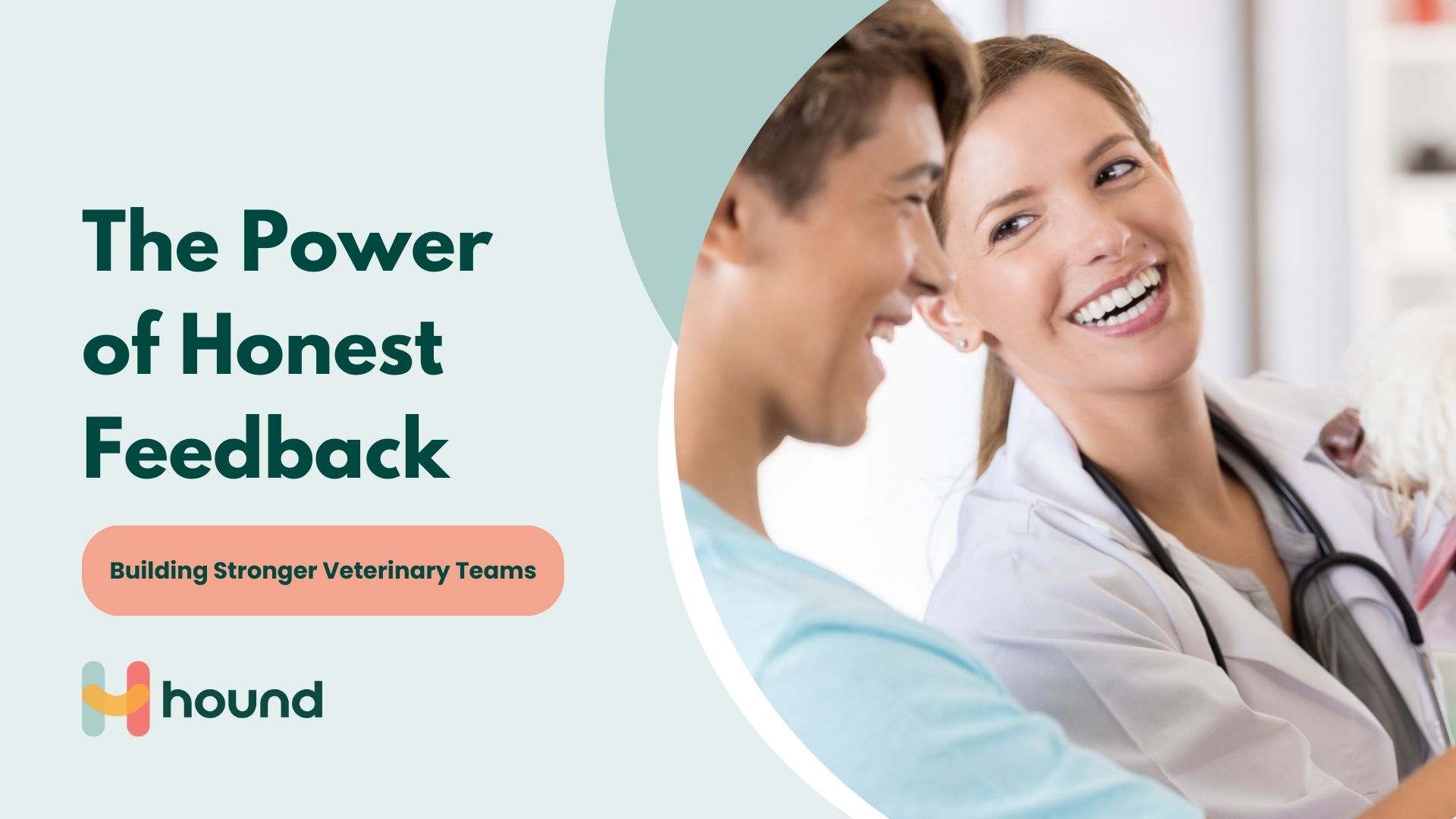 The Power of Honest Feedback: Building Stronger Veterinary Teams