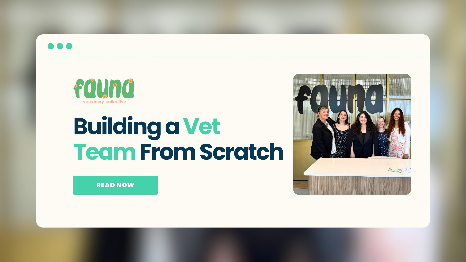 How to Build a Veterinary Team from Scratch: Lessons from Fauna Vet Collective