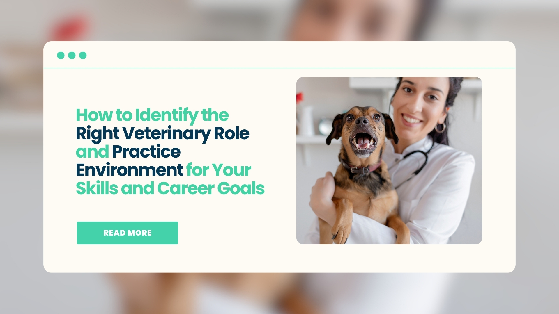How to Identify the Right Veterinary Role and Practice Environment for Your Skills and Career Goals