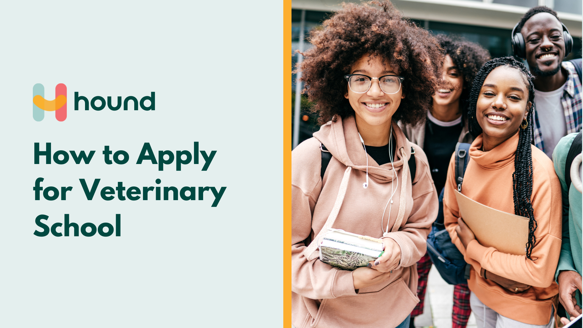 How to Apply to Vet School in 5 Steps