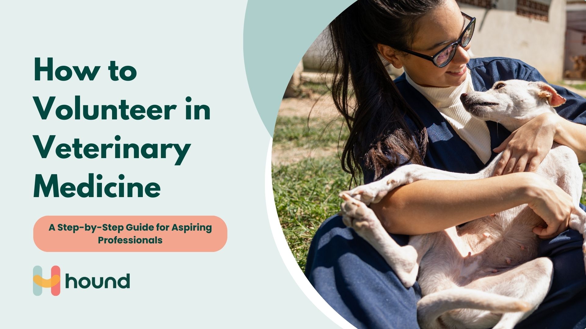 How to Volunteer in Veterinary Medicine: A Step-by-Step Guide for Aspiring Professionals