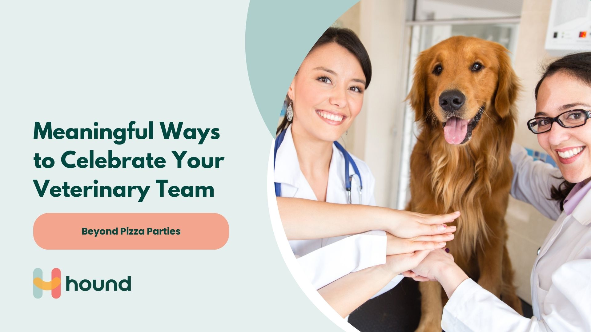 Meaningful Ways to Celebrate Your Veterinary Team (Beyond Pizza Parties)