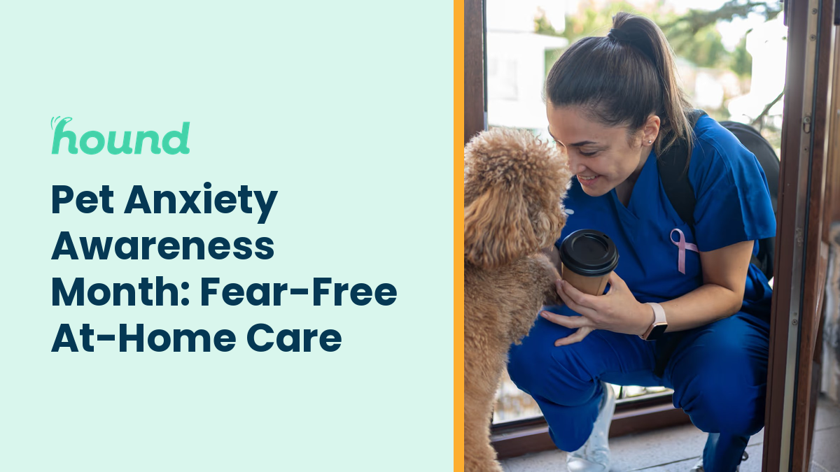 91% of Dogs Show Fear or Anxiety, and the Vet Visit Is Often the Trigger