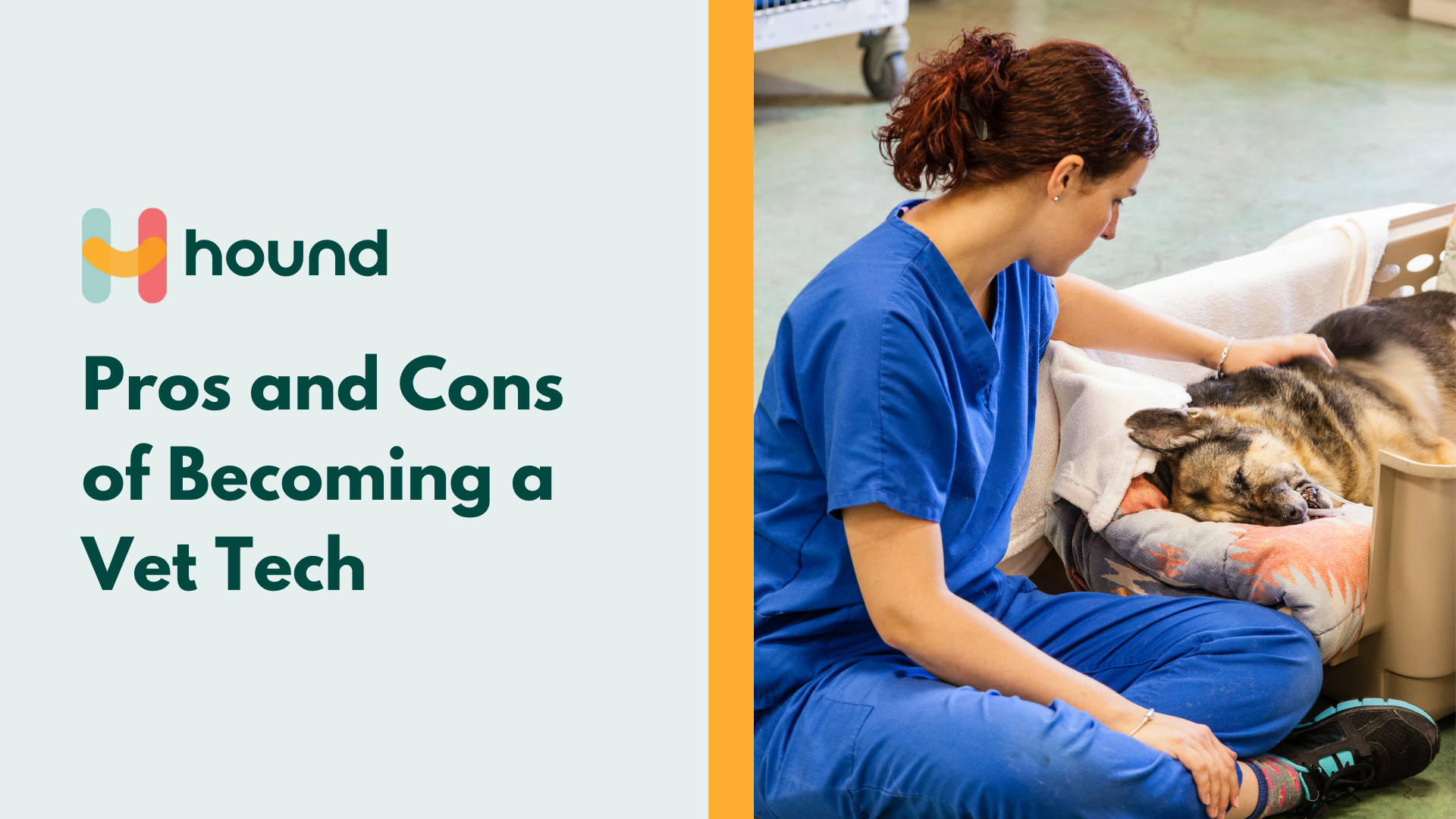Pros and Cons of Becoming a Veterinary Technician