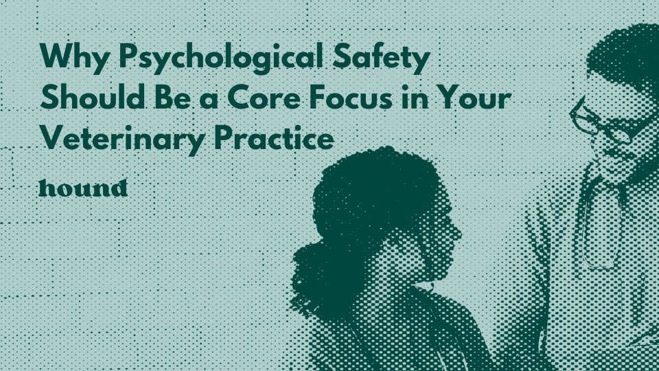 Foster Psychological Safety in Your Veterinary Practice