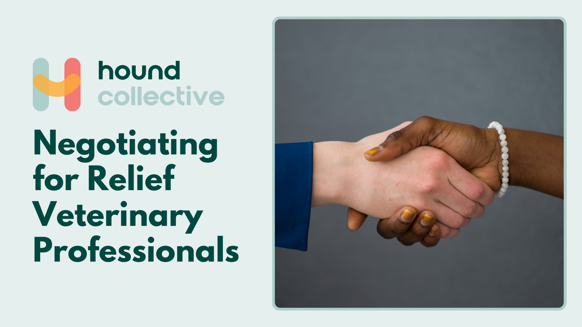 Negotiating for Relief Veterinary Professionals
