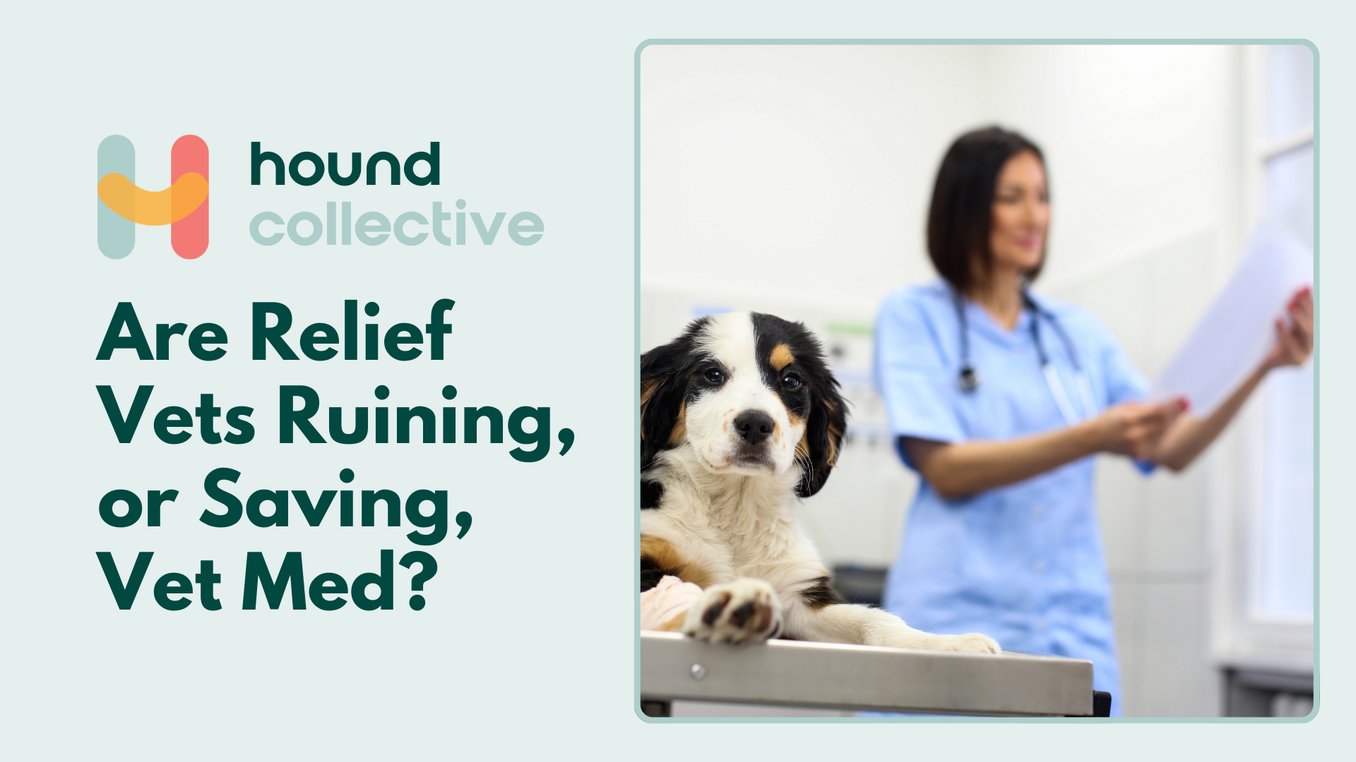 Are Relief Vets Ruining, or Saving, Vet Med?