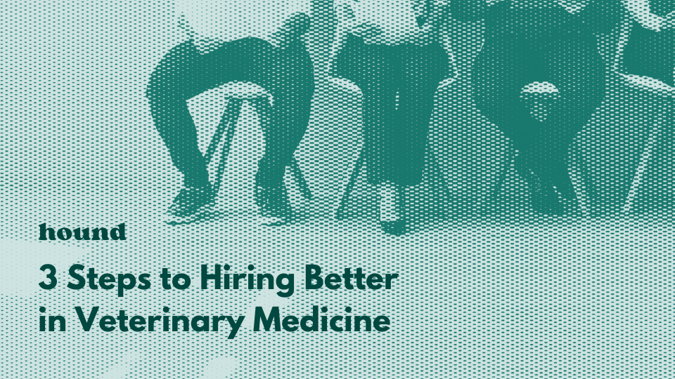 3 Steps to Hiring Better in Veterinary Medicine