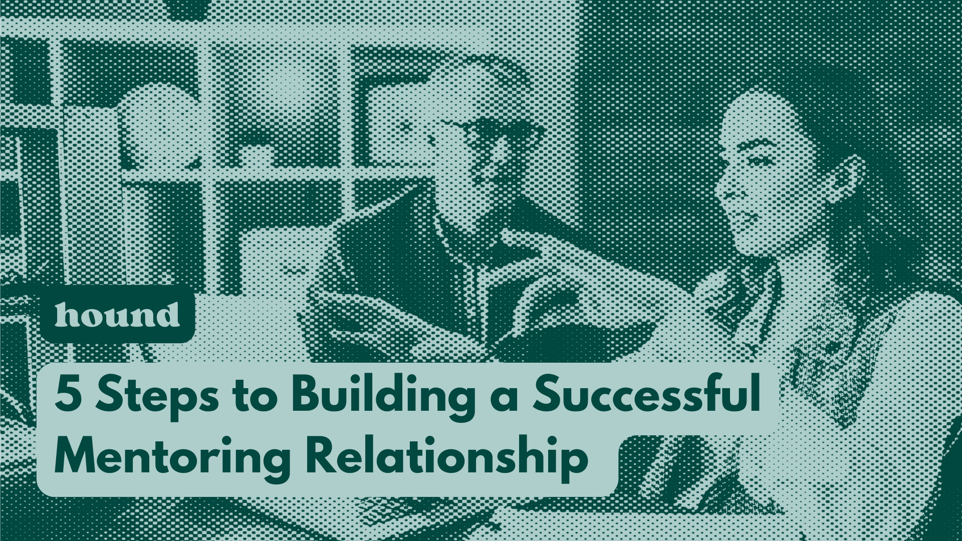 5 Steps to Building a Successful Veterinary Mentoring Relationship