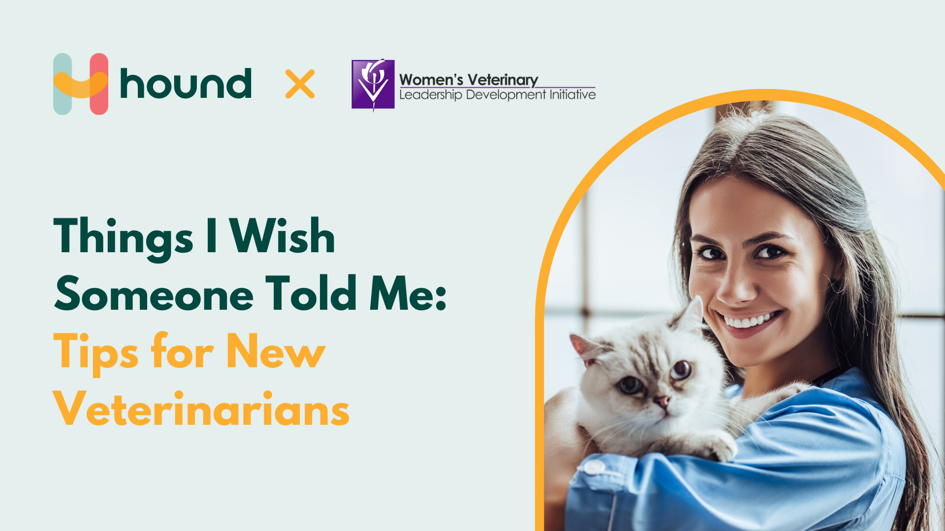Things I Wish Someone Told Me: Tips for New Veterinarians
