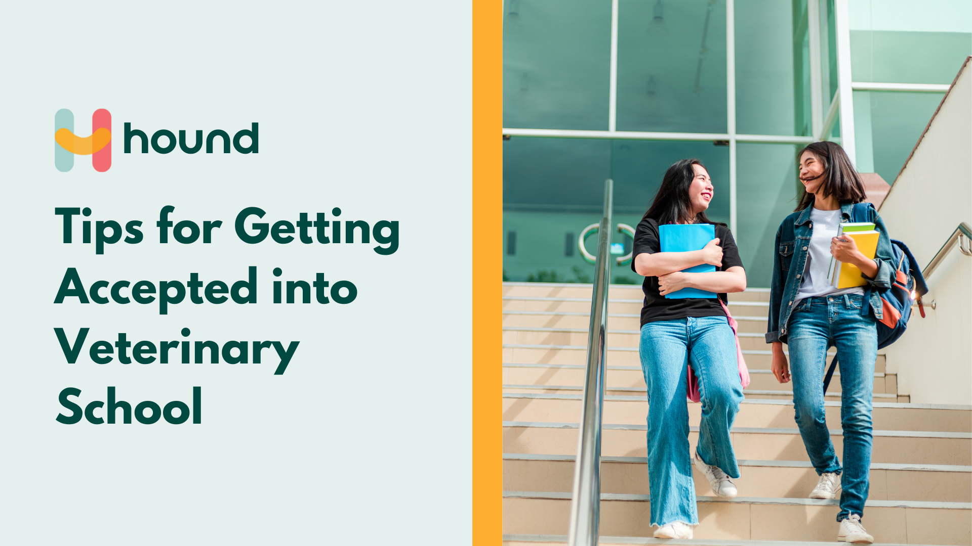 Tips for Getting Accepted into Veterinary School