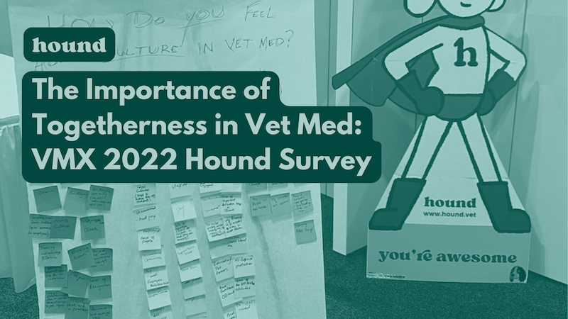 Vet Med & Togetherness: Findings from Our VMX 2022 Survey