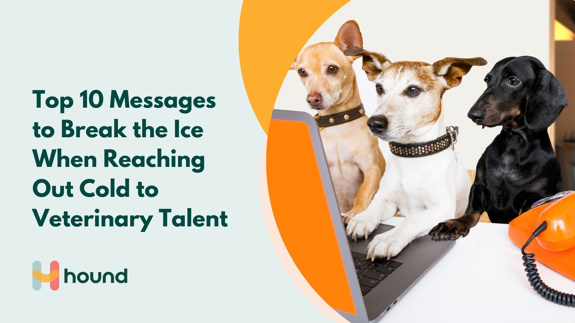 Top 10 Messages to Break the Ice When Reaching Out Cold to Veterinary Talent