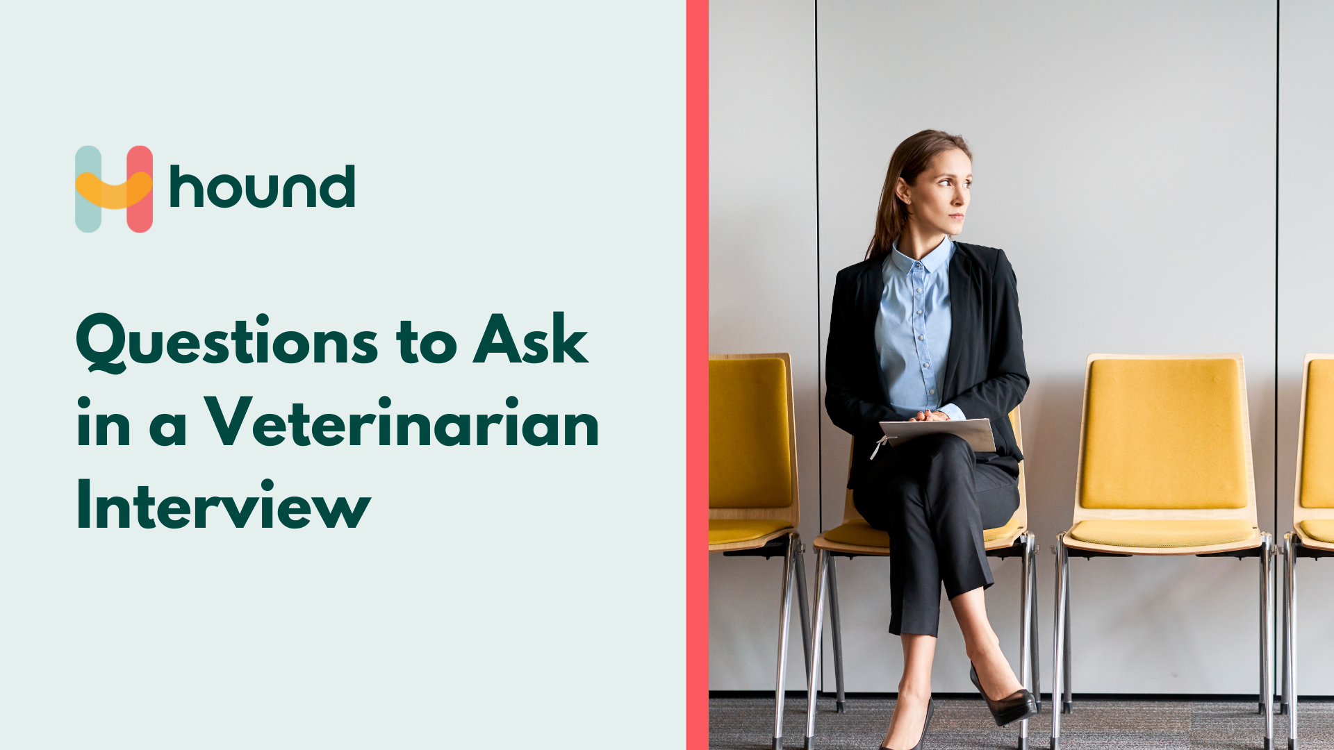 Questions to Ask in a Veterinarian Interview
