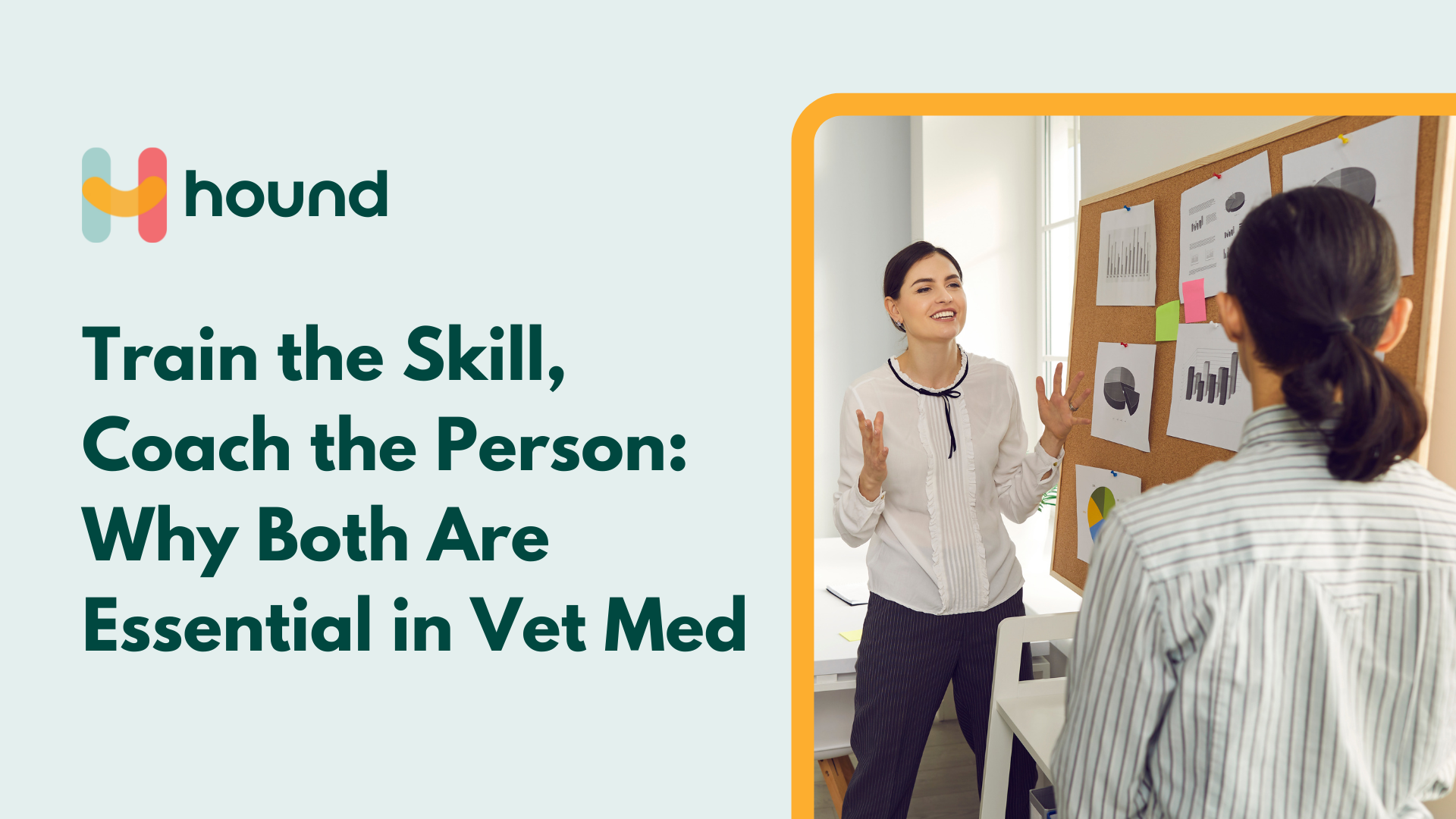 Why Veterinary Coaching & Training are Both Essential
