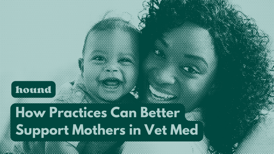 How Practices Can Better Support Mothers in Vet Med