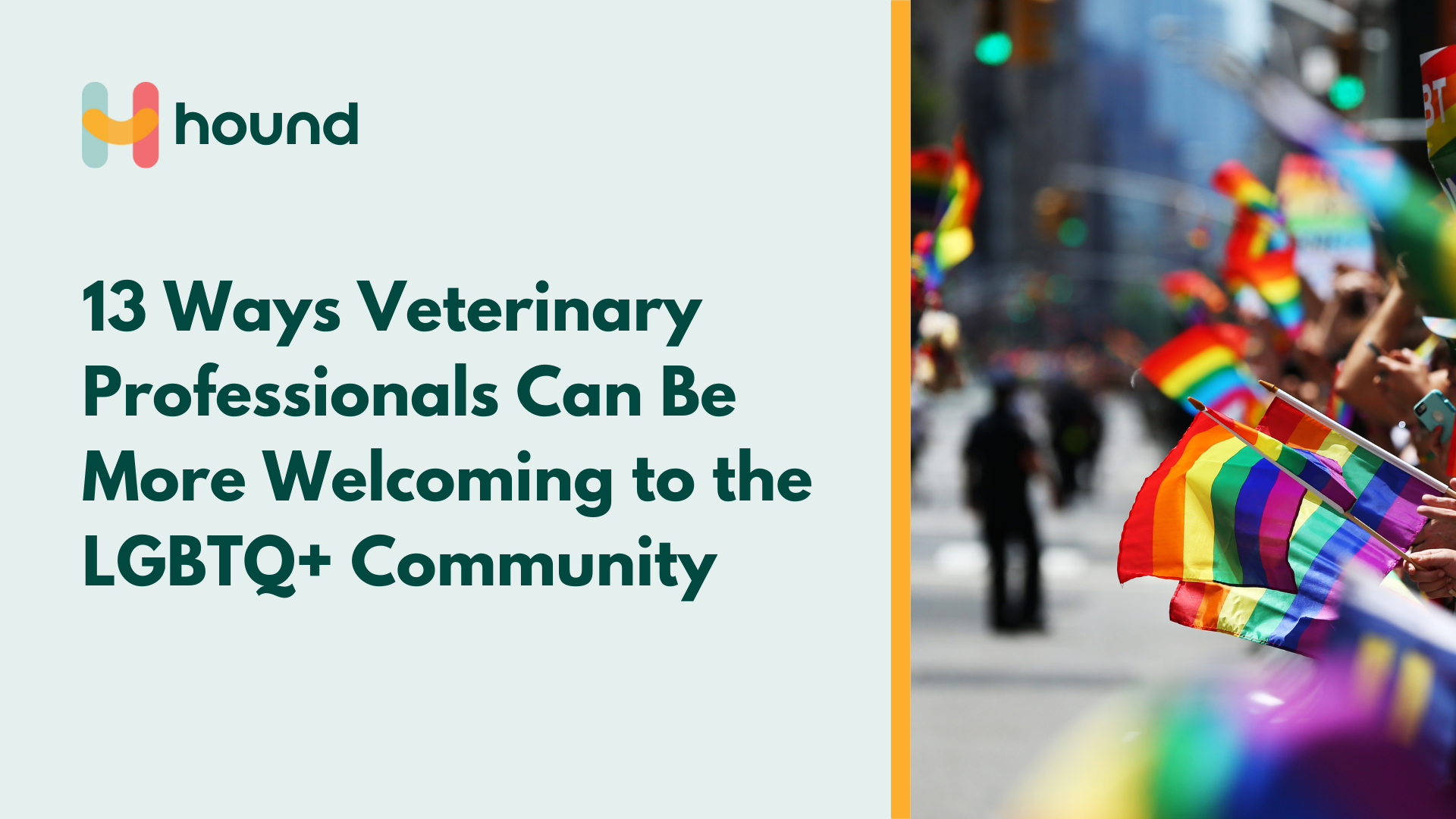 13 Ways Vet Med Can Better Support the LGBTQ+ Community