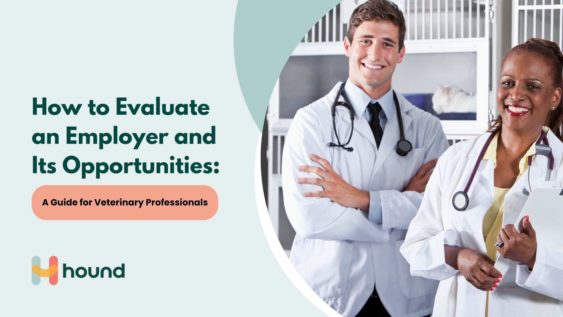 How to Evaluate an Employer and Its Opportunities: A Guide for Veterinary Professionals