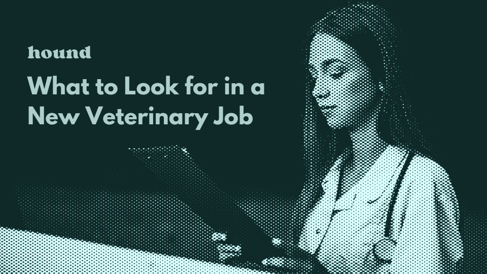 What to Look for in a New Veterinary Job in 2024