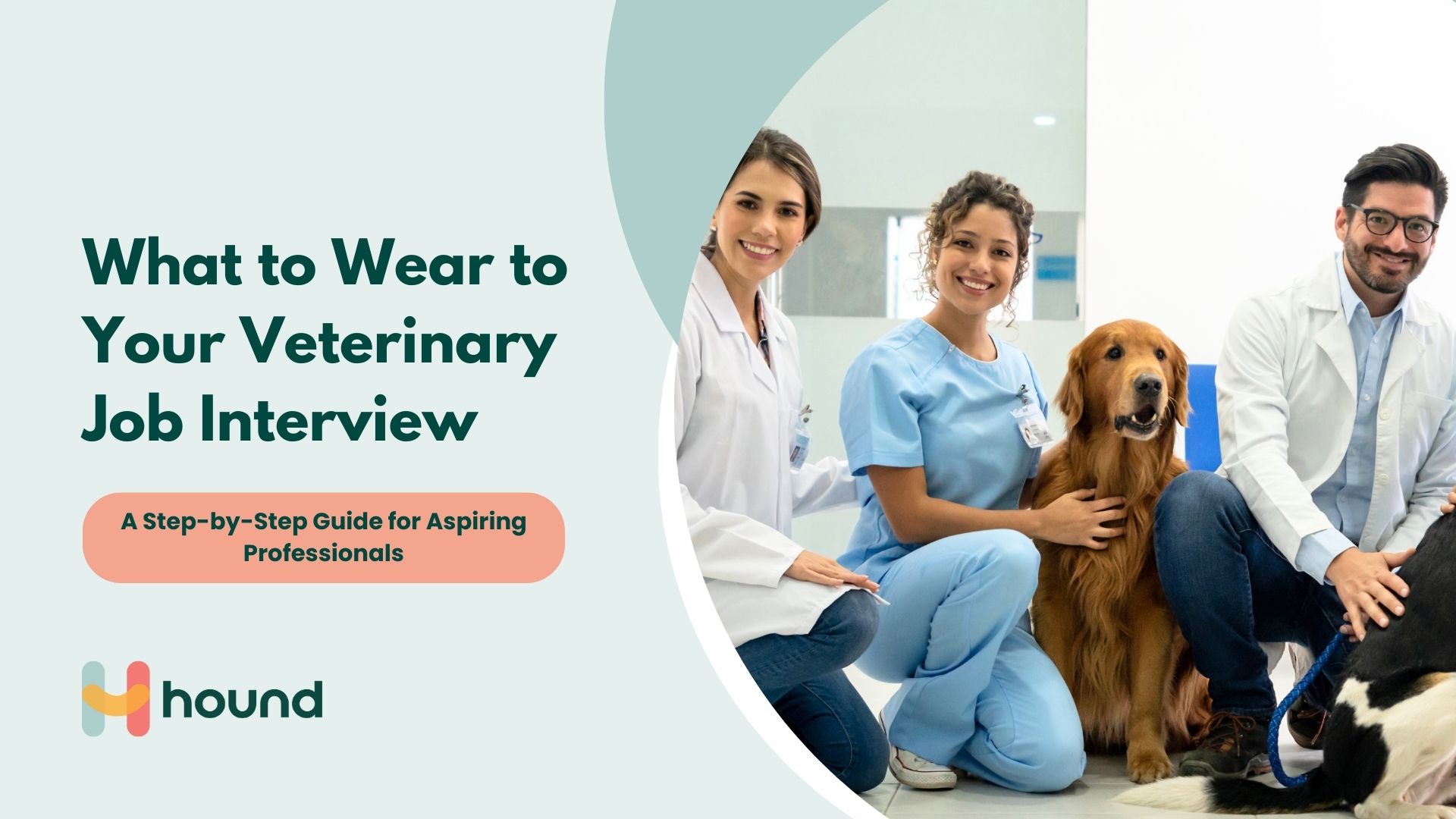 Dressing for Success: What to Wear to Your Veterinary Job Interview